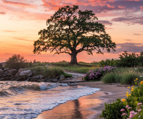 ������� ��� �����