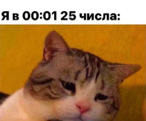 10 мемов под настроение