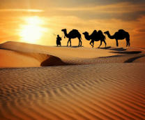 ������ � �����������.