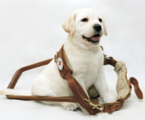 ���� ���� ������������ ����� �������� ��������