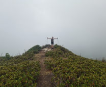 ����, �� �� ����