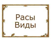 #��� ������������� ������ ���/����� ������� D&D