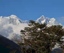 ����� 2025