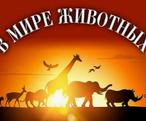 � ���� ��������