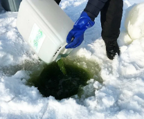 ������������ - ������� ������ �����