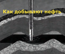 ������������ ����������